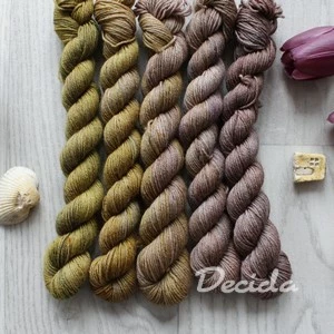 Set 5x20g -  merino sw 400m/100g